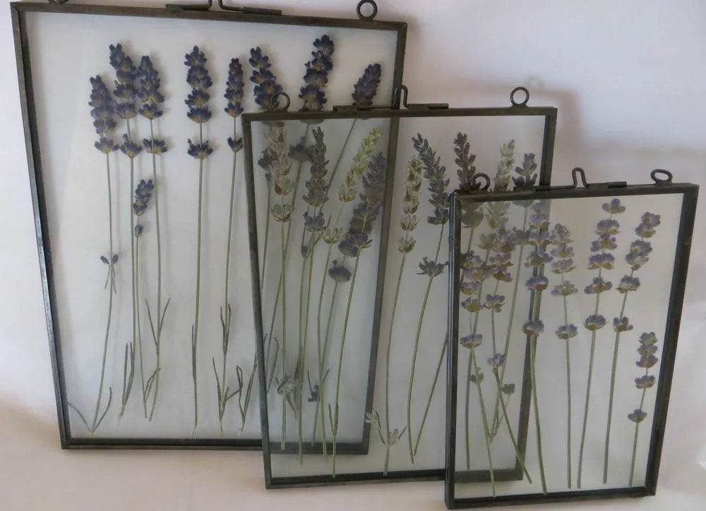 Trockenblumen im glas