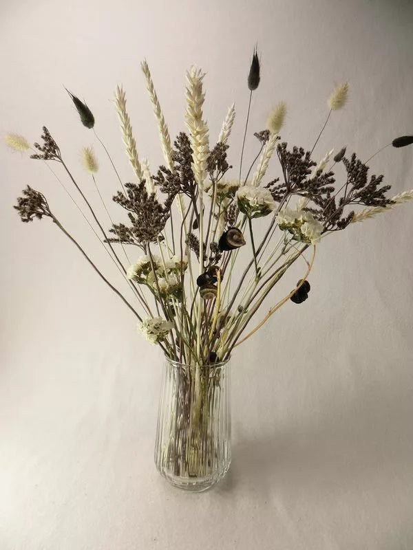 Exklusive Trockenblumen schwarz und weiß –