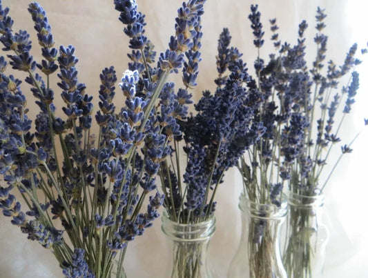 ¿qué se puede hacer con un ramo de lavanda eterno?