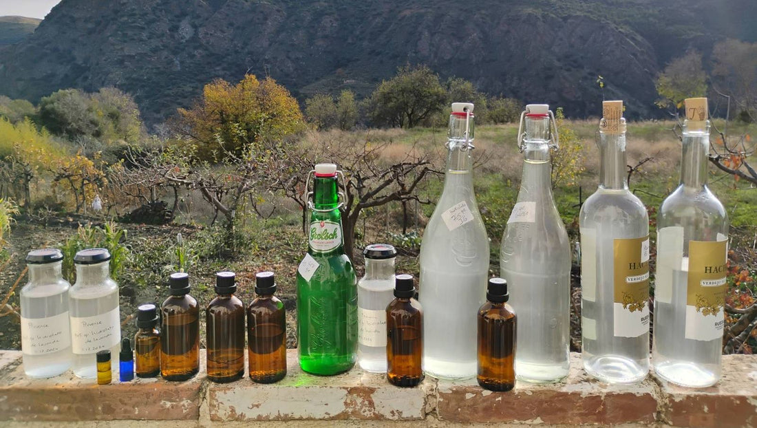 destilación de aceites esenciales