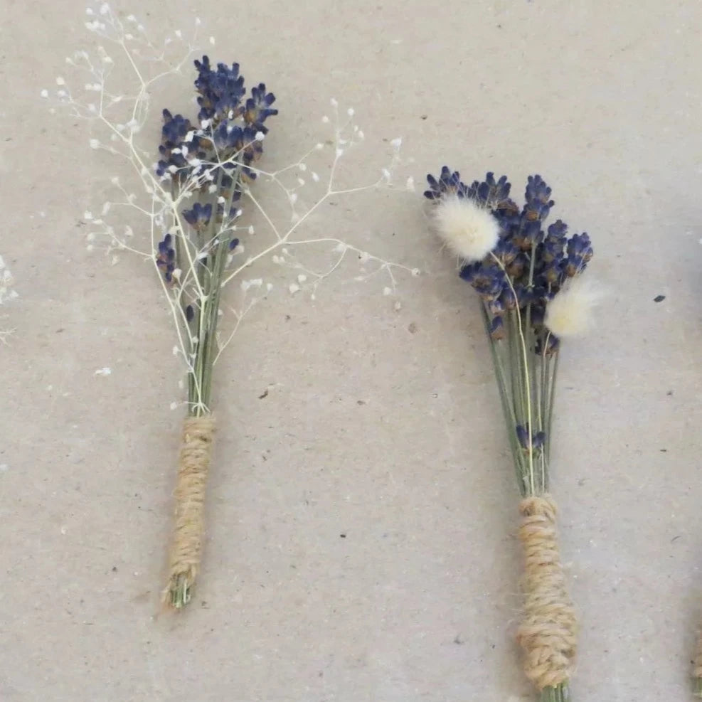 prendidos, prendidos lavanda y paniculata