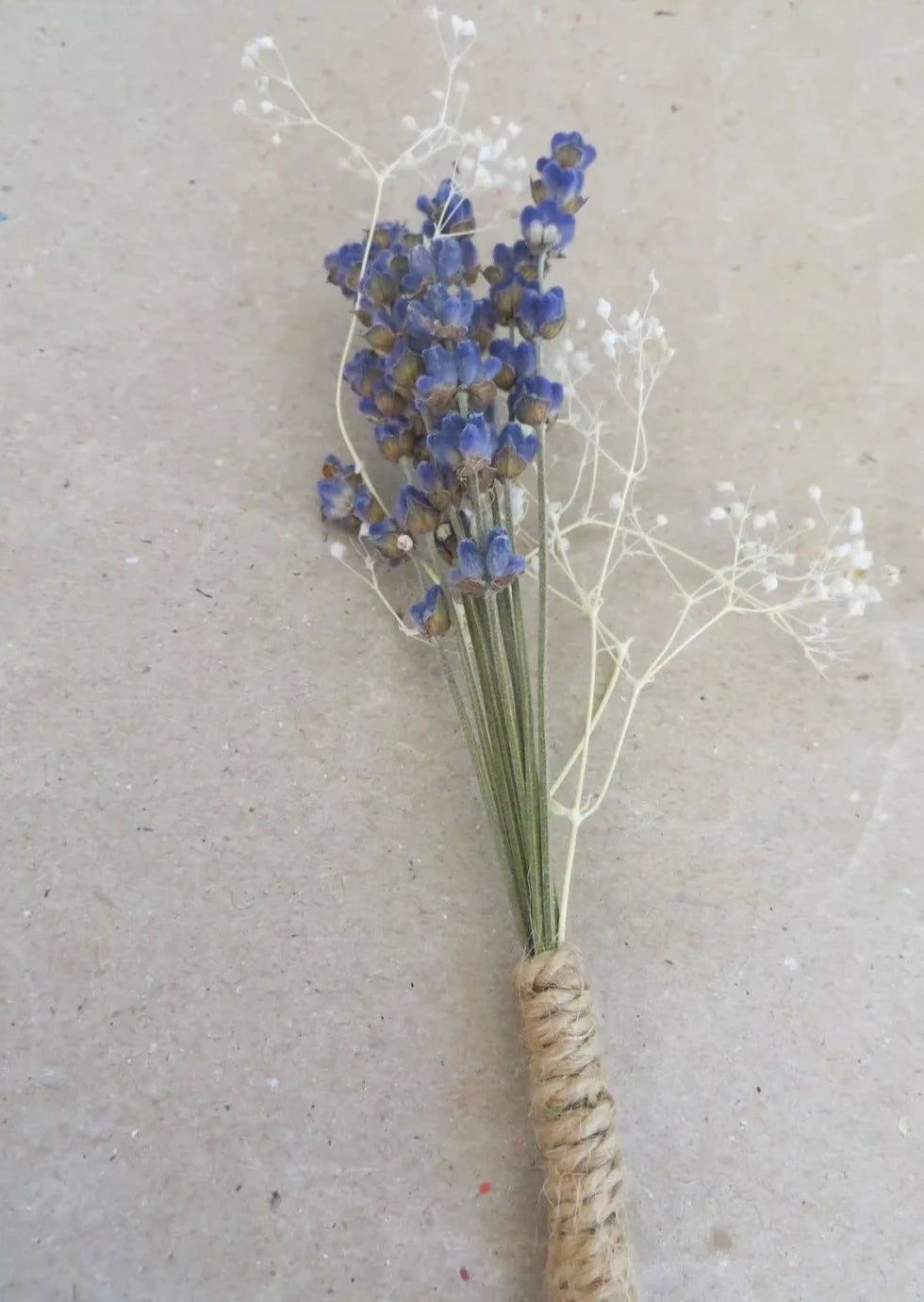 prendidos lavanda y paniculata