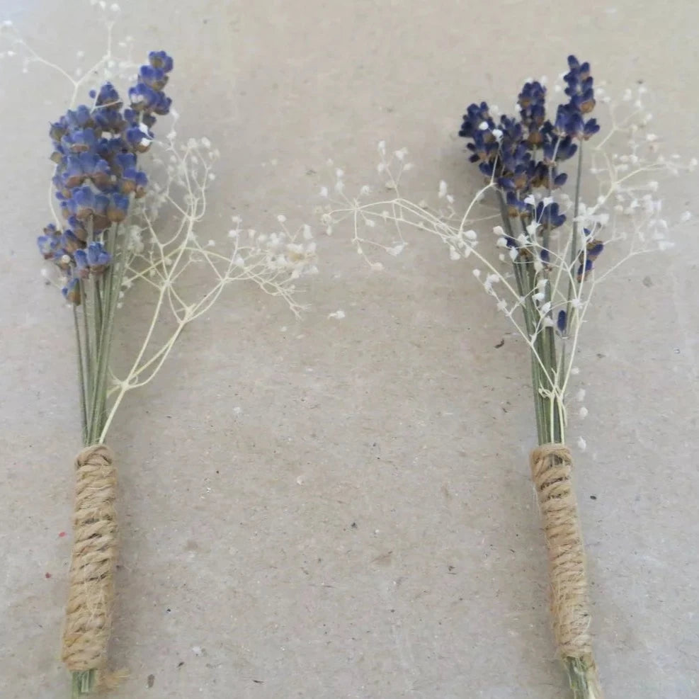 prendidos de lavanda