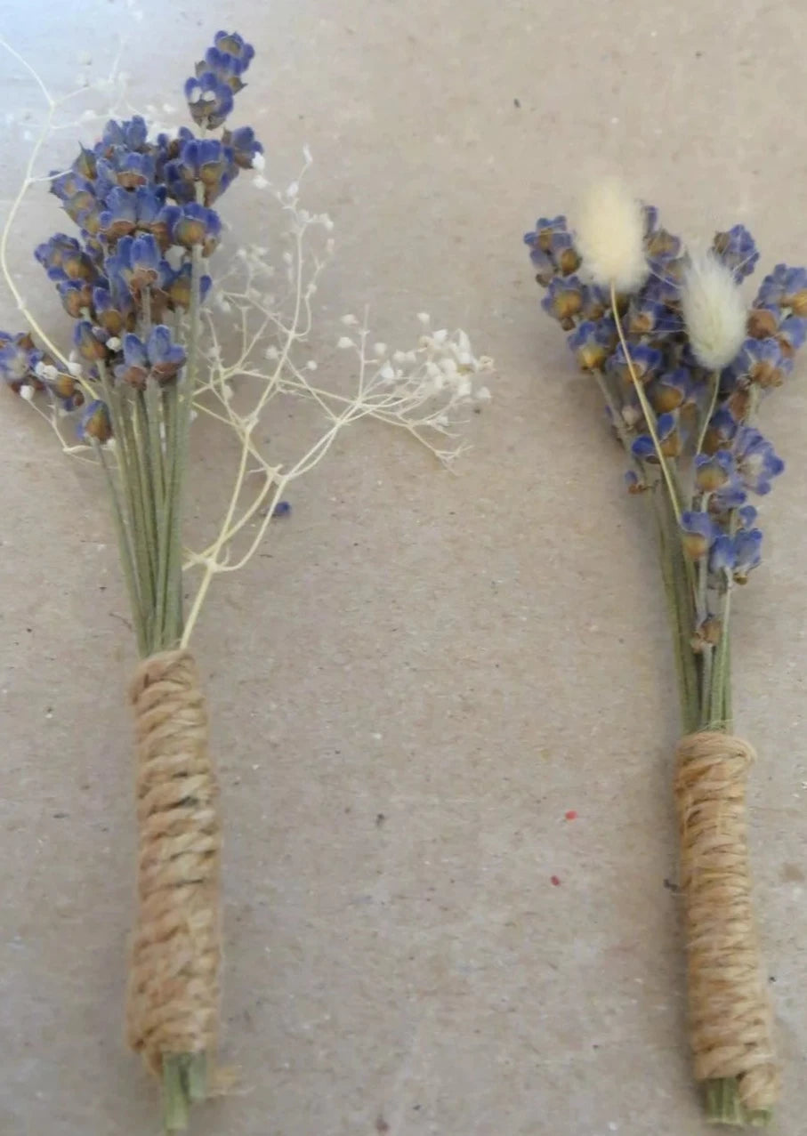 prendidos, prendidos lavanda y paniculata