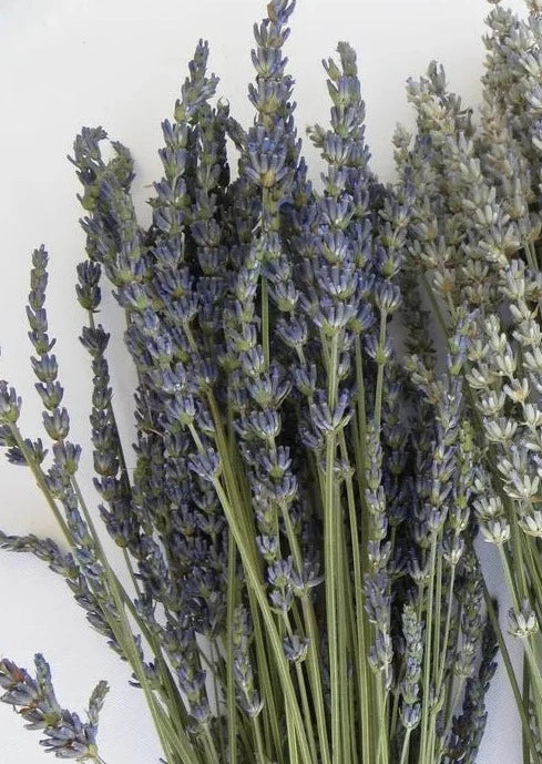 ramo de flores secas Essential.blue lavanda