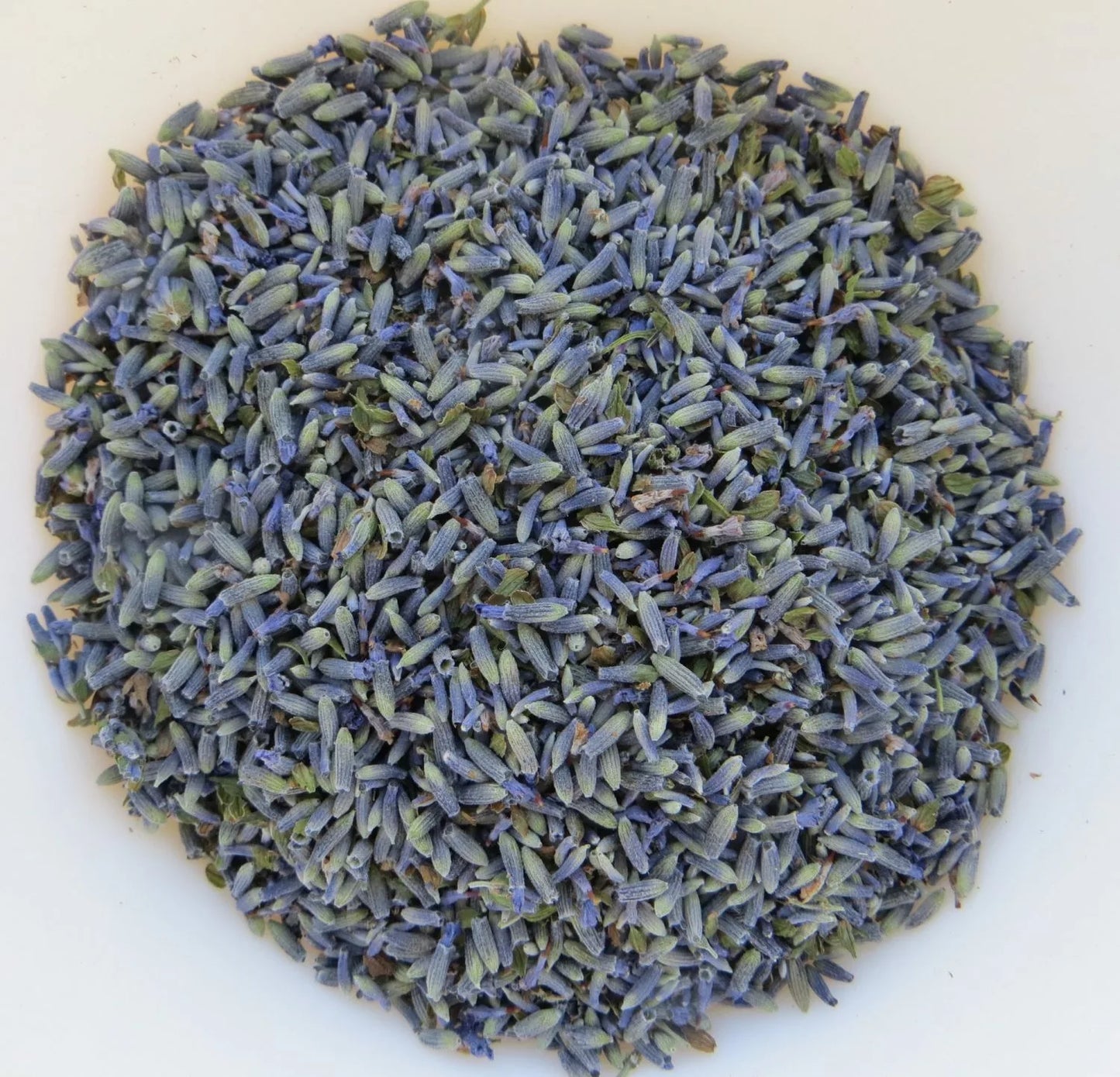 Grosso lavanda seca