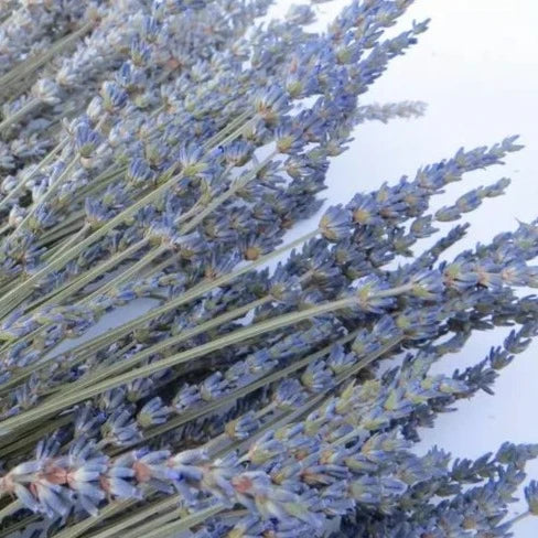 ramo de flores secas lavanda