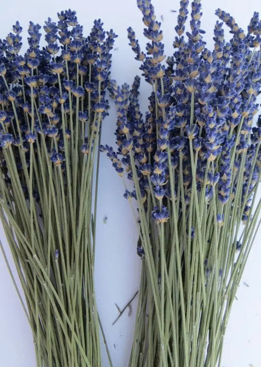 flores secas ramo lavanda - Essential.blue