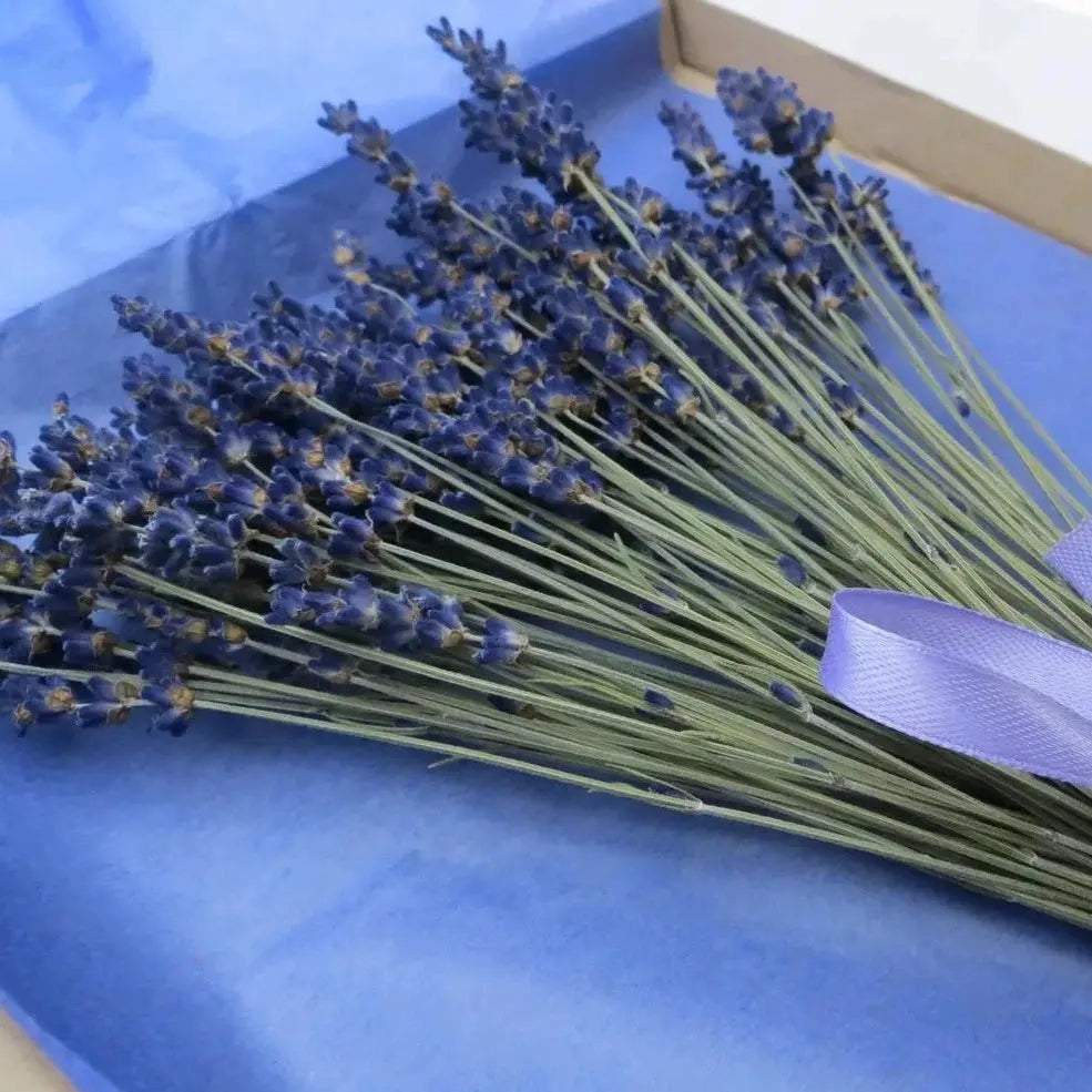 Tooget Fragrant Flores De Lavanda Orgánicas Secas, Extra Azu | Envío Gratis