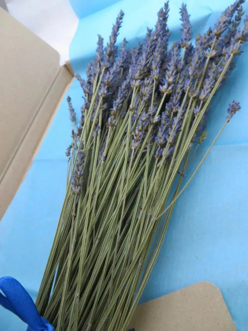 comprar lavanda seca, Bouquet lavandin heavenly scent