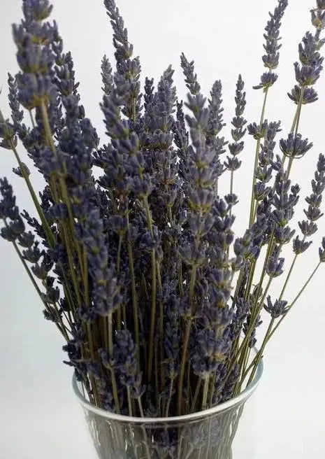 comprar lavanda seca, Bouquet lavandin 