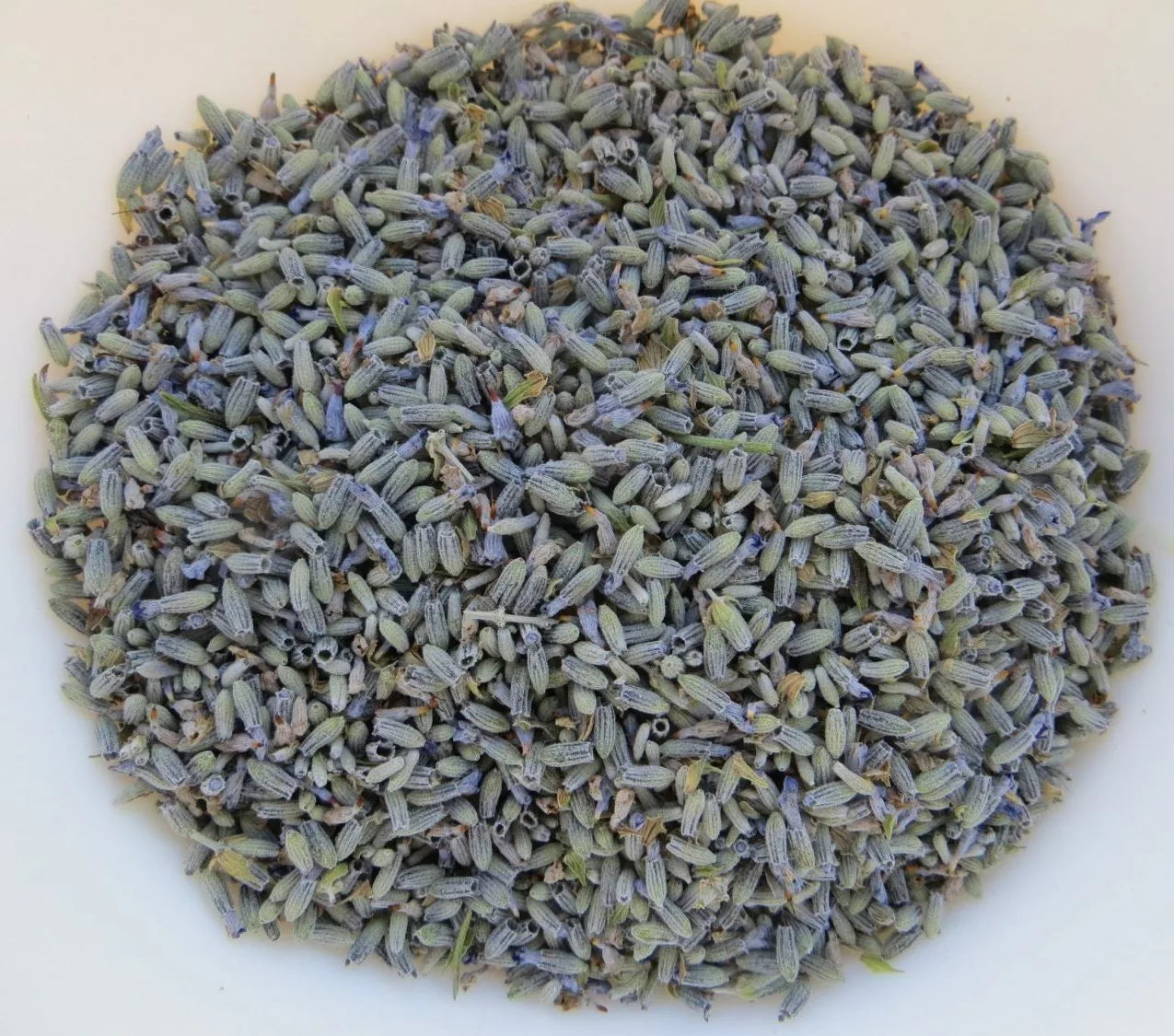 Lavanda seca