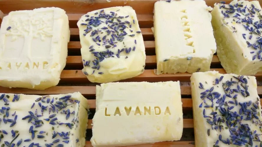 making your own lavender soap
