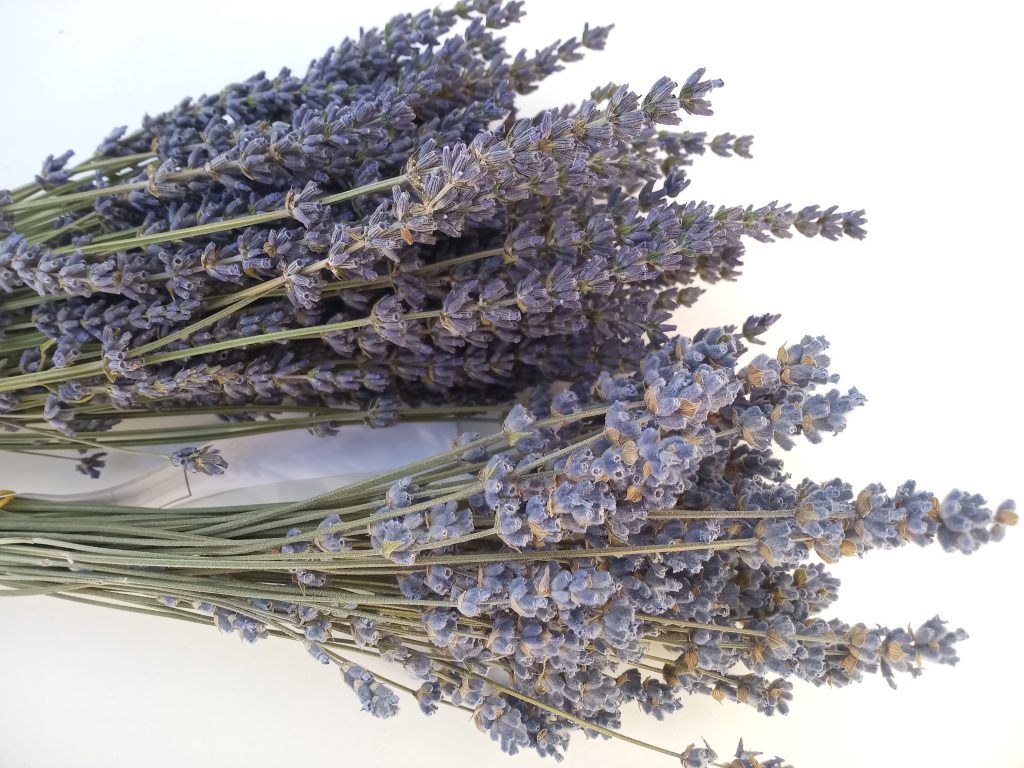 lavender invitation DIY