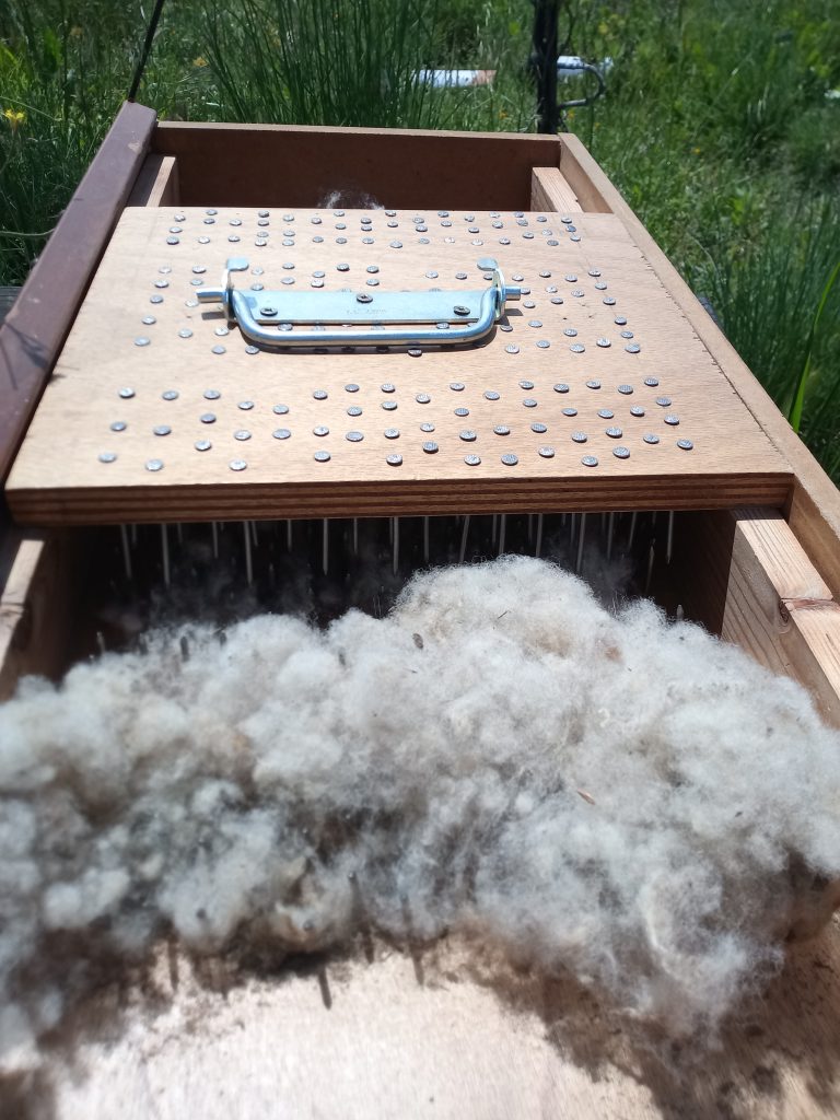 washing raw wool