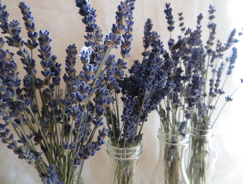 Was kann man mit einem ewigen Lavendelbouquet machen?