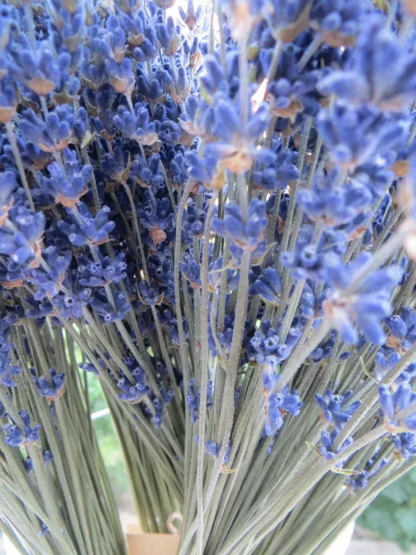 blumenstraus blau lavendel in einer Vase