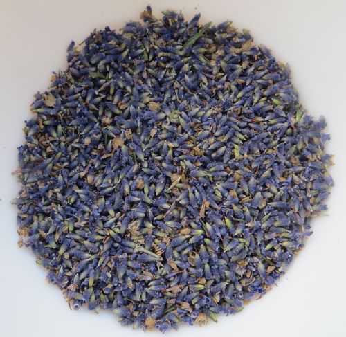 Siesta soothing dried lavender Essential.blue