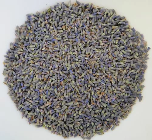 dried lavender Heavenly Scent Essential.blue