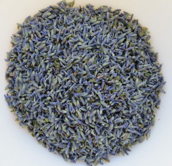 Getrockneter Grosso-Lavendel
