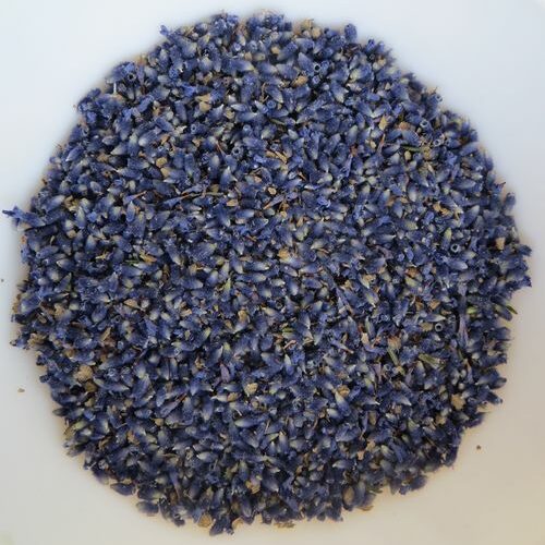 rustgevende lavendel gedroogde Imperial Gem Essential.blue