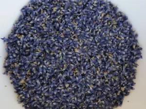 beruhigender getrockneter Lavendel Imperial Gem Essential.blue