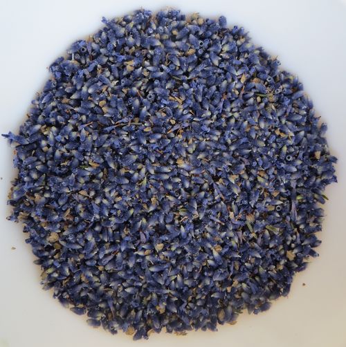 rustgevende lavendel gedroogd Imperial Gem Essential.blue