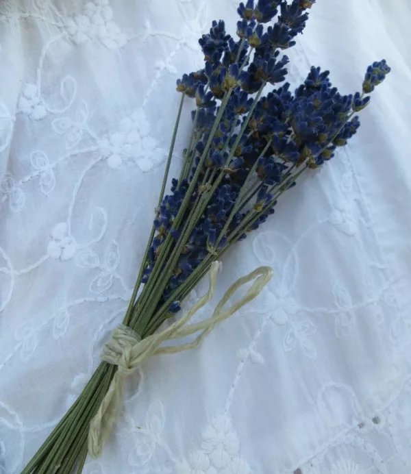 lavender corsage small lavender bunches