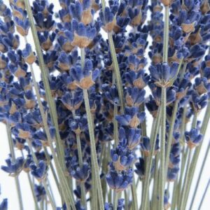 Blumenstraus blau Lavendel