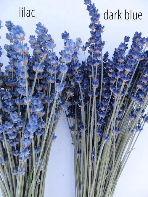 ramo flores secas de color lila y azul oscuro -Essential.blue