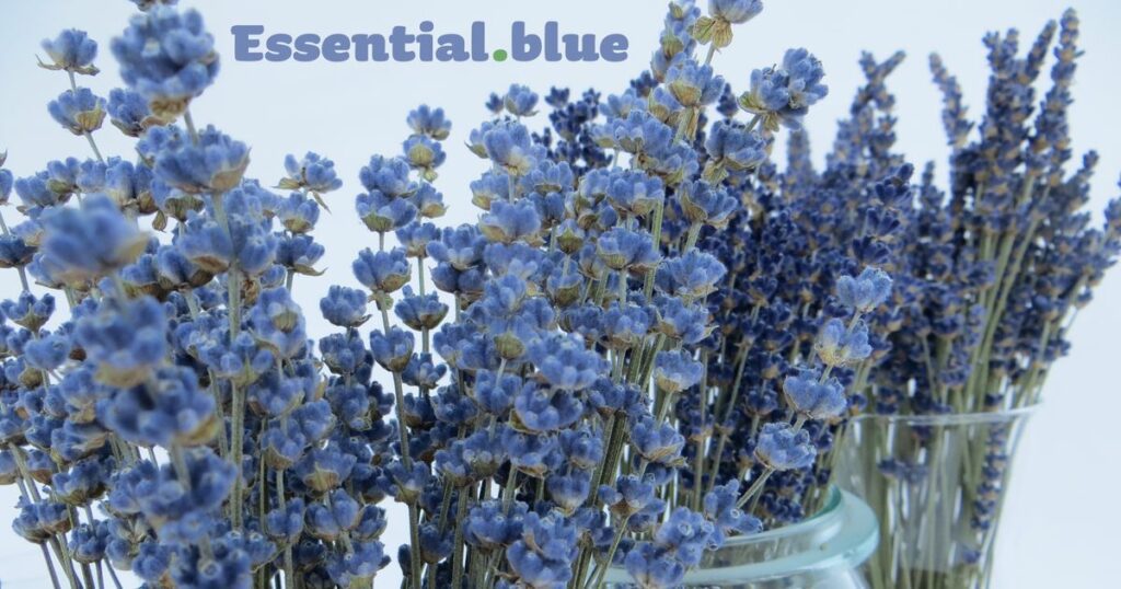 Nachhaltig präsentiert Essential.blue