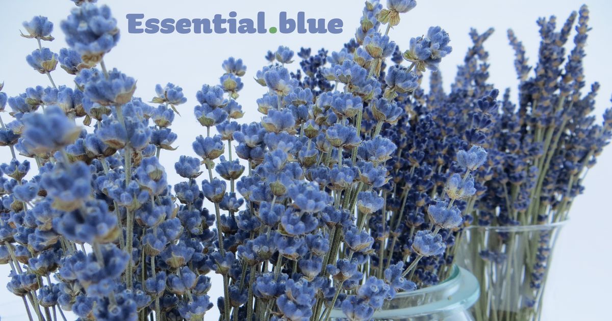 Nachhaltig präsentiert Essential.blue