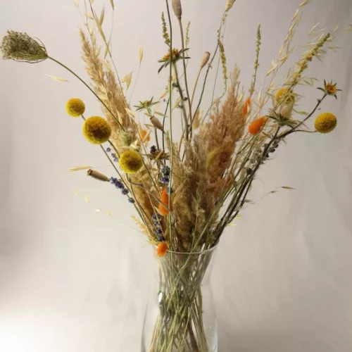 Natural dried flowers in yellow