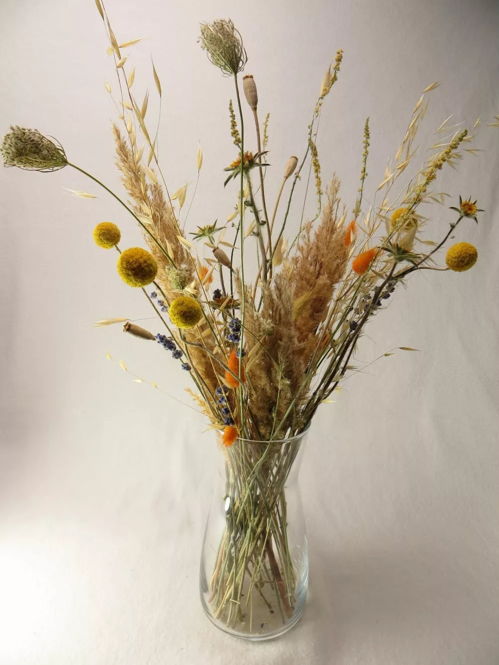 Natural dried flowers in yellow