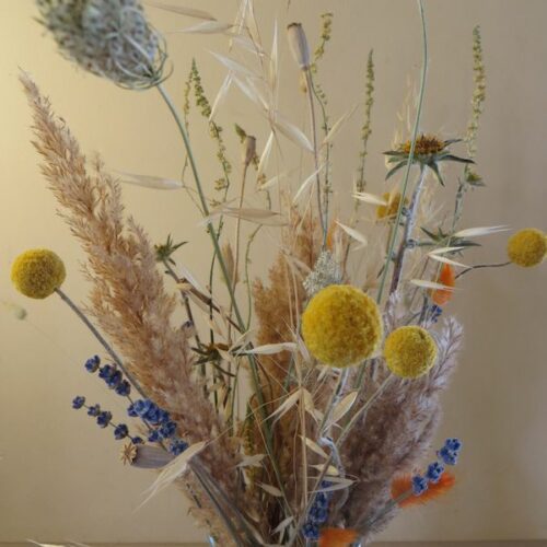 natural dried flowers Essential.blue