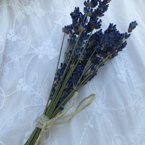 small lavender bunches