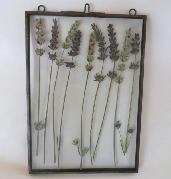 Dried flowers in frame 3 types - Essential.blue
