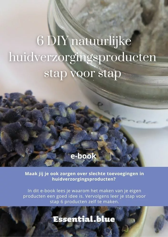 ebook Nederlands