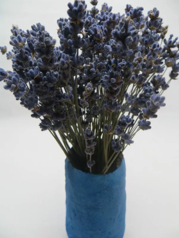 lilac lavender with vase