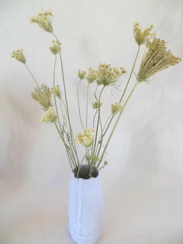 Vase mit Wildblumen Qeens Annes Spitze