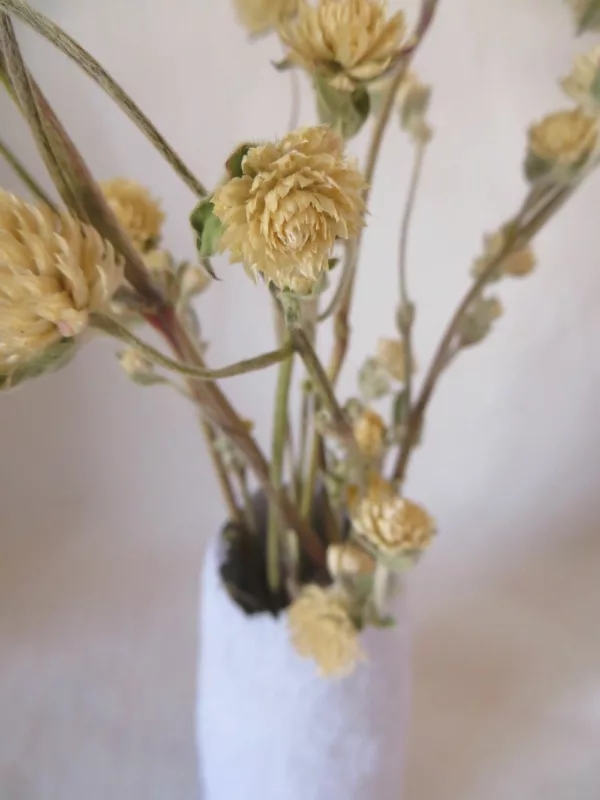 dried flowers with small vase
