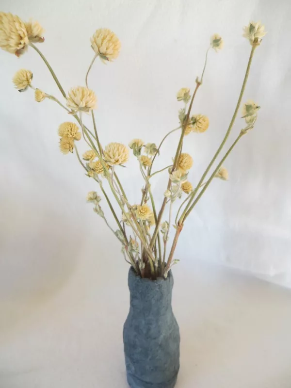comphrena globosa flores secas con jarrón gris