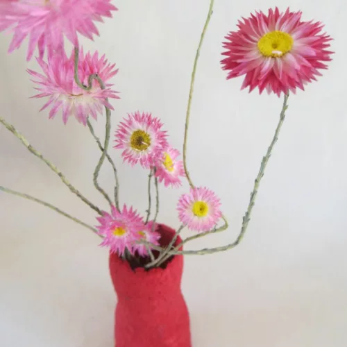 flores secas de acroclinium rosa en jarrón rojo