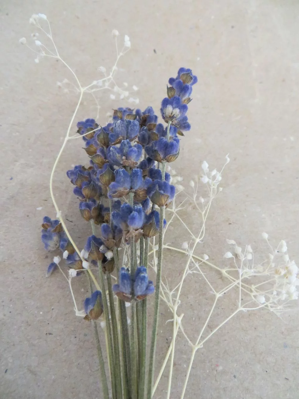 Ansteckblume Lavendel und Schleierkraut
